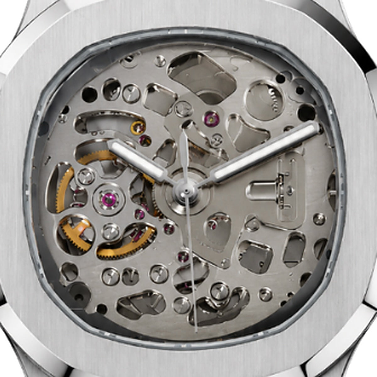 SEIKOLUS skeleton — macro — Time2Seiko